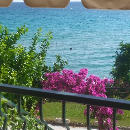 Blue Chalkidiki *